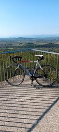 Pinarello FP2 tg 53