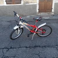 bicicletta 