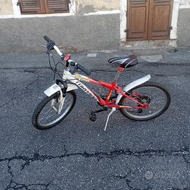 bicicletta 