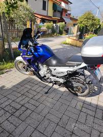 Transalp 650 Unico 