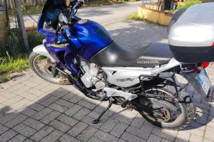 Honda Transalp 650 Unico  + Suzuki XF 650 Freewind
