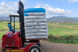 Muletto carrello elevatore fuoristrada moffett