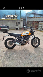 Ducati scrambler