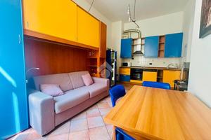 MONOLOCALE A MANTOVA