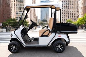 Golf car Eagle OMOLOGATO 2 Posti con Cassone
