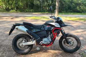 swm superdual  600 2020