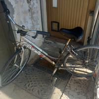 Bicicletta DoubleZZ con cambio Shimano