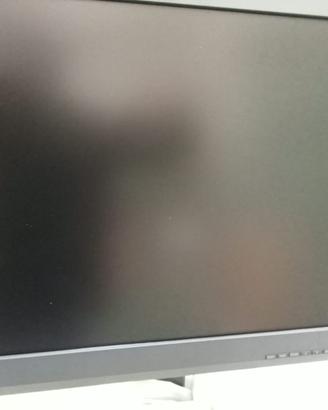 Monitor Professionale EIZO RadiForce MX242W