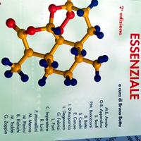 CHIMICA ORGANICA ESSENZIALE BOTTA ED. CAMPUS