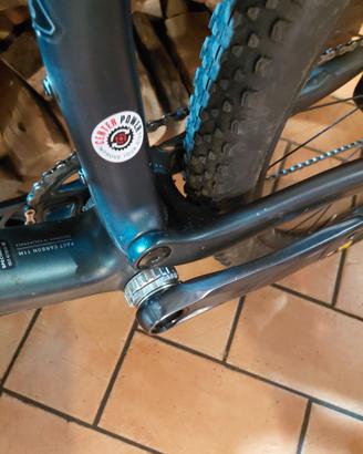 Mtb 29 specialaized