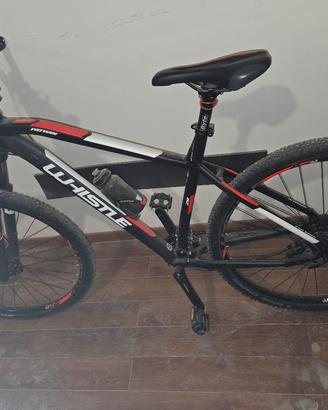 mountain bike