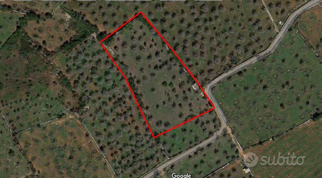 Terreno Uliveto Casa Campagna Rustico Salento - Altro