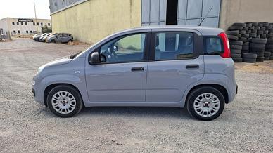 FIAT PANDA 1.0