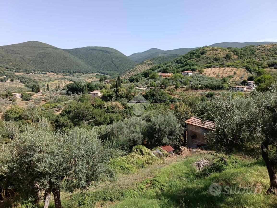 TER. AGRICOLO A POGGIO MIRTETO - Vista 4
