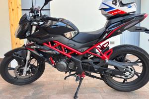 BENELLI BN 125