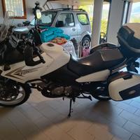 Suzuki V-strom 650 usata