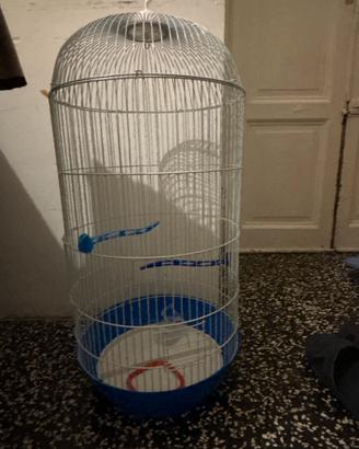 Gabbia per uccelli