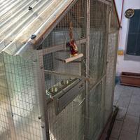 Voliera x pappagalli