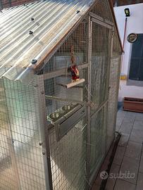 Voliera x pappagalli