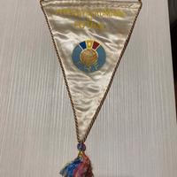 Gagliardetto nazionale rumena calcio