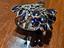 Immagine 2
