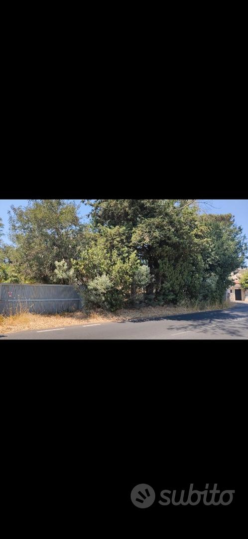 Terreno magazzini e casa zona la storta - Vista 2