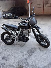 Dominator 650 asi