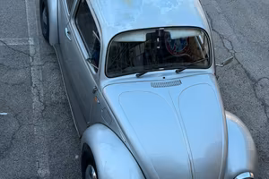 Maggiolino messico vetro piatto