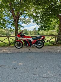 honda cb 900 bol d'or