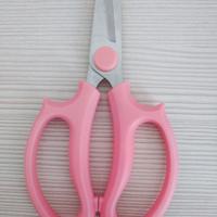 Forbici per bricolage e fai da te