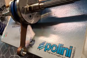 Albero motore polini