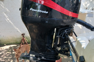 Motore f.b. mercury 90 cv 4t