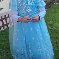 vestito a tema (Cenerentola)