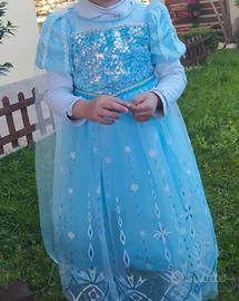 vestito a tema (Cenerentola)