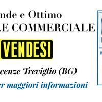 563/25 CAPANNONE commerciale con diverse vetrine