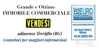 563/25 CAPANNONE commerciale con diverse vetrine
