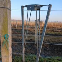 BRACCETTI VIGNETO GDC VALENTE