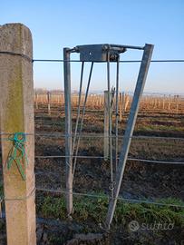 BRACCETTI VIGNETO GDC VALENTE