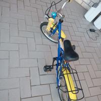 bicicletta