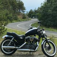 Harley sportster 1200 nighster