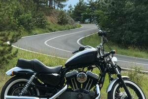 Harley sportster 1200 nighster