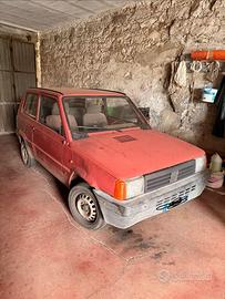 Panda 1100 young anno 2003