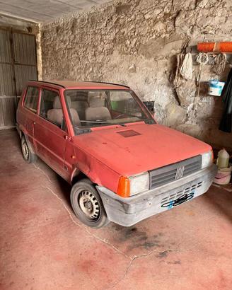 Panda 1100 young anno 2003