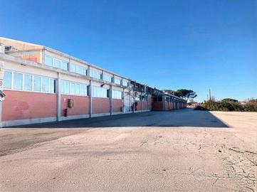 CAPANNONE A POMEZIA