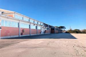 CAPANNONE A POMEZIA