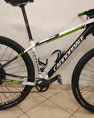  cannondale