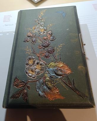 manoscritto illustrato di poesie 1892