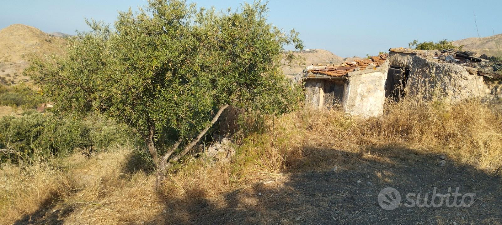 Terreni - Vista 4