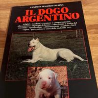 Il dogo argentino