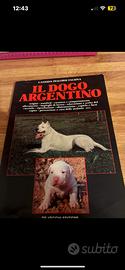 Il dogo argentino